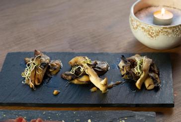 Los Ñires Ushuaia | Ushuaia | Fotos 10