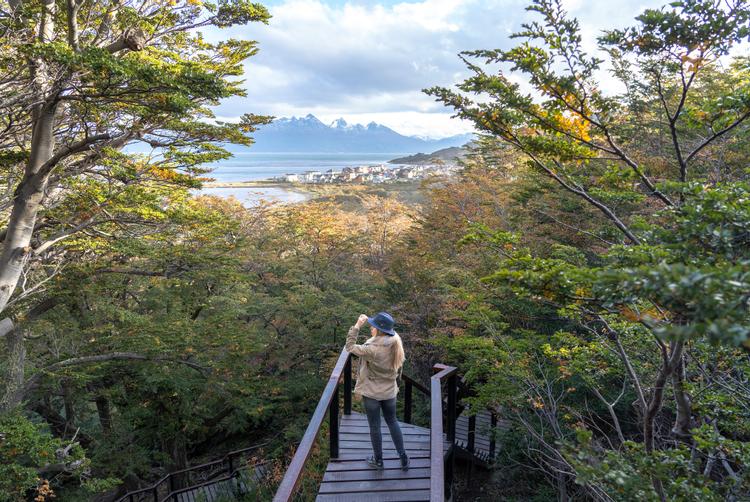 Los Ñires Ushuaia | Ushuaia | 2