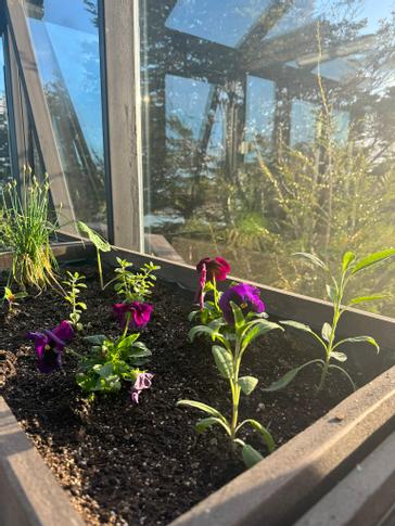 Los Ñires Ushuaia | Ushuaia | Galería 11