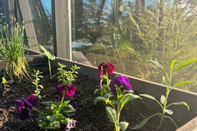 Los Ñires Ushuaia | Ushuaia | 14