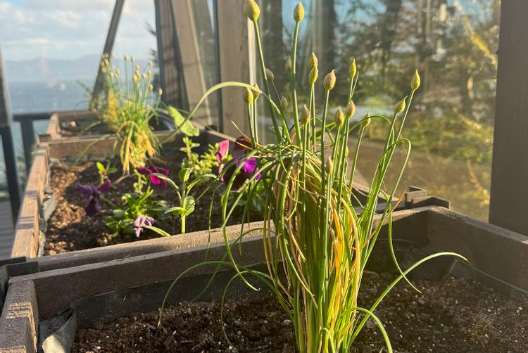 Los Ñires Ushuaia | Ushuaia | 12