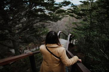 Los Ñires Ushuaia | Ushuaia | Galería 12