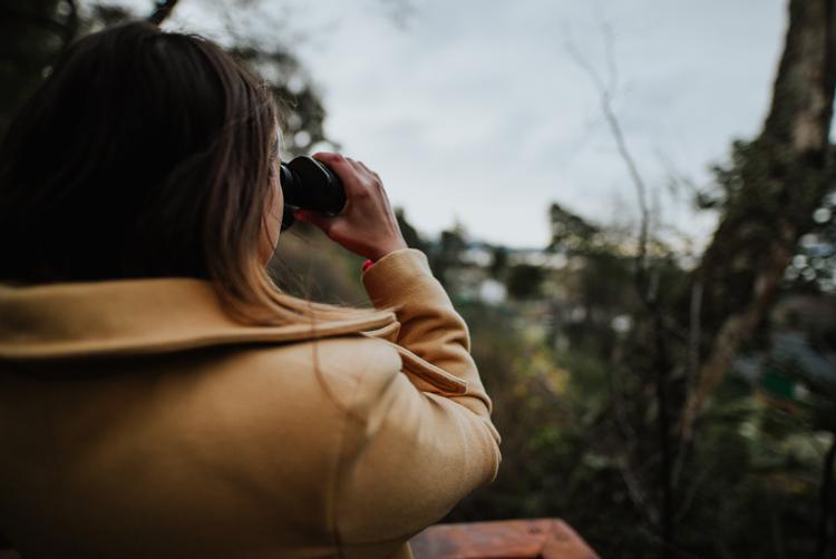 Los Ñires Ushuaia | Ushuaia | 5