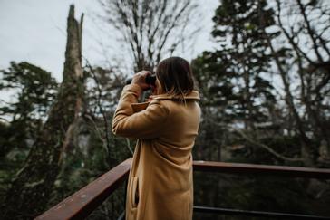 Los Ñires Ushuaia | Ushuaia | Galería 33