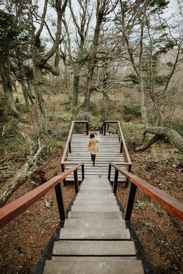 Los Ñires Ushuaia | Ushuaia | Galería 6