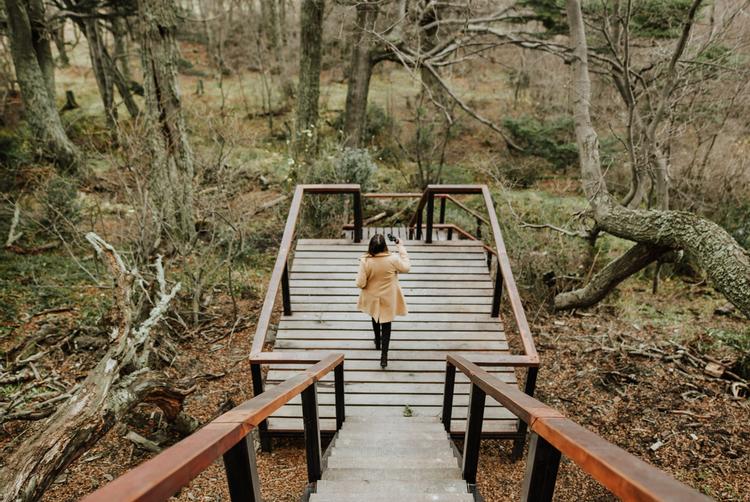 Los Ñires Ushuaia | Ushuaia | 5