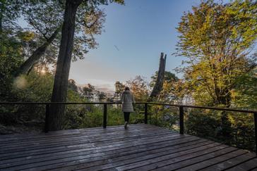 Los Ñires Ushuaia | Ushuaia | Galería 41