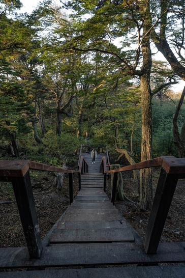 Los Ñires Ushuaia | Ushuaia | Galería 49