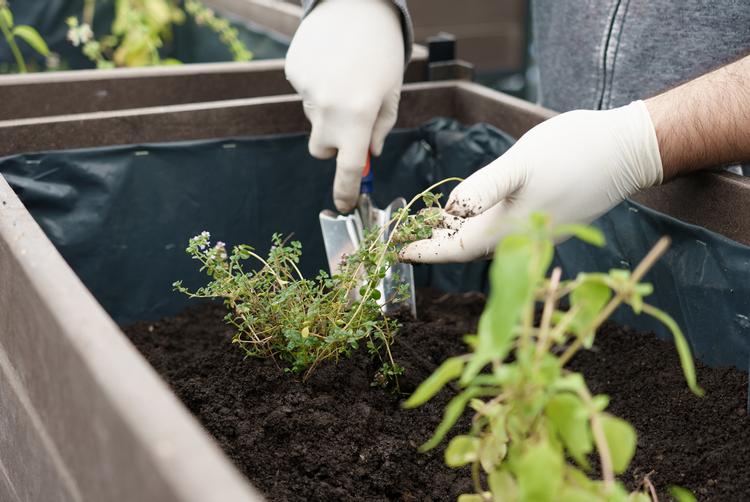 Los Ñires Ushuaia | Ushuaia | 17