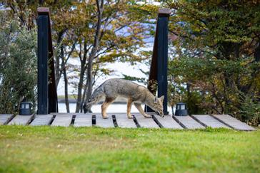Los Ñires Ushuaia | Ushuaia | Galería 1