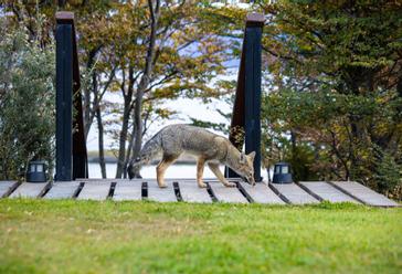 Los Ñires Ushuaia | Ushuaia | Fotos 3