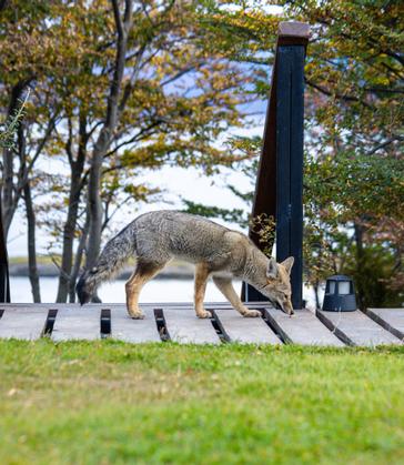 Los Ñires Ushuaia | Ushuaia | Galería 2