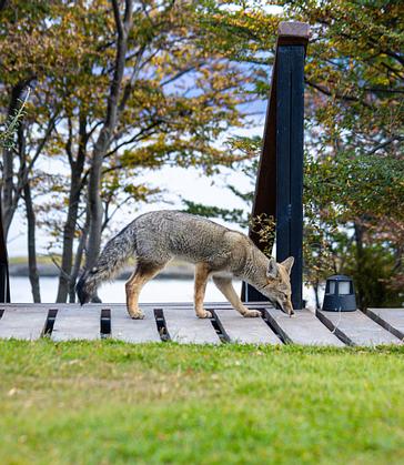 Los Ñires Ushuaia | Ushuaia | Galería 2